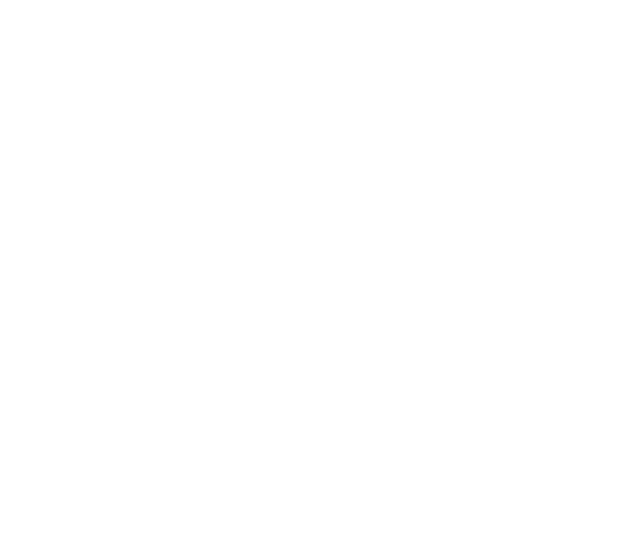 Acer Plumbing logo - Licensed plumbers in South Florida